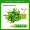 Sayur Kangkung 1 Ikat