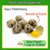 Telur Telor Puyuh 10 Butir
