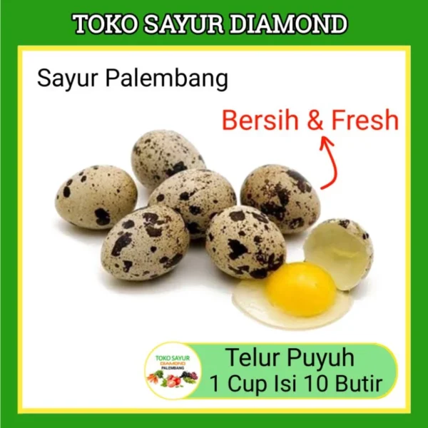 Telur Telor Puyuh 10 Butir