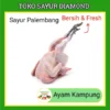 Ayam Kampung 1 Ekor - Fresh Palembang