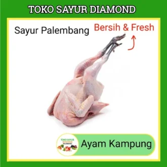 Ayam Kampung 1 Ekor