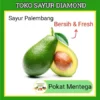 Buah Alpukat Pokat Mentega Fresh - Buahan Segar Online Palembang