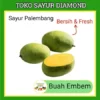 Buah Embam Embem - Buahan Segar Online Palembang