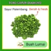 Buah Lumai Lumay - Sayur Sayuran Segar Palembang (salin) (salin)