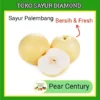 Buah Pear Pir Per Century - Buahan Segar Fresh Online Palembang