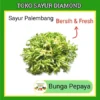 Bunga Pepaya 100 Gram - Toko Sayur Sayuran Diamond Segar Palembsng