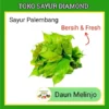 Daun Melinjo - Sayur Segar Palembang