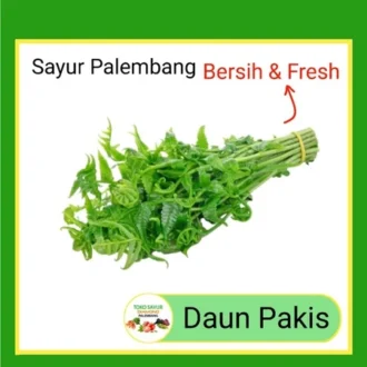 Daun Pakis Muda Per Ikat