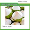 Dogan Kelapa Muda 1 Buah - Palembang