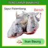 Ikan Baung Laut - Palembang