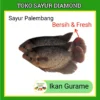 Ikan Gurame Gurami Segar 1 Ekor 1kg - Palembang