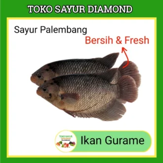 Ikan Gurame Gurami 1 kg