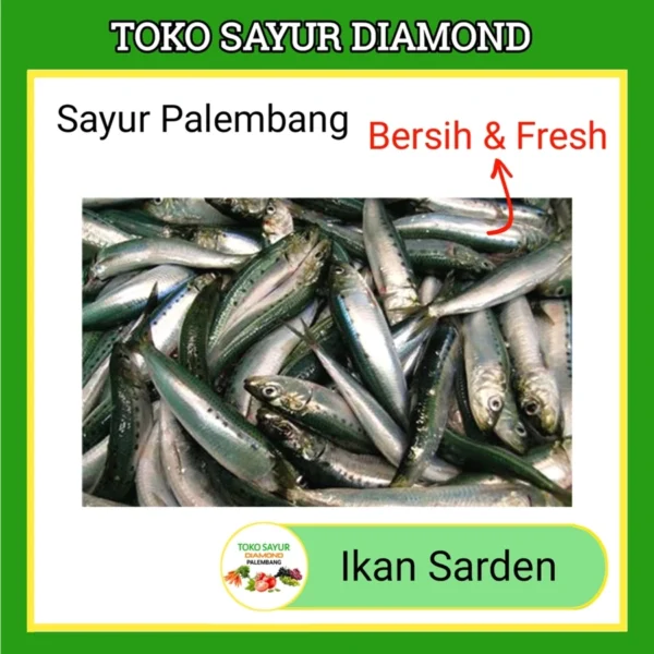 Ikan Sarden - Palembang