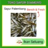 Ikan Seluang 250 Gram Fresh - Toko Sayur Segar Diamond Palembang