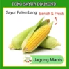 Jagung Manis - Toko Sayur Sayuran Mayur Segar Palembang (salin) (salin)