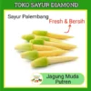 Jagung Muda Putren