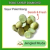 Jengkol Muda 100 Gram