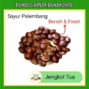Jengkol Tua - Fresh