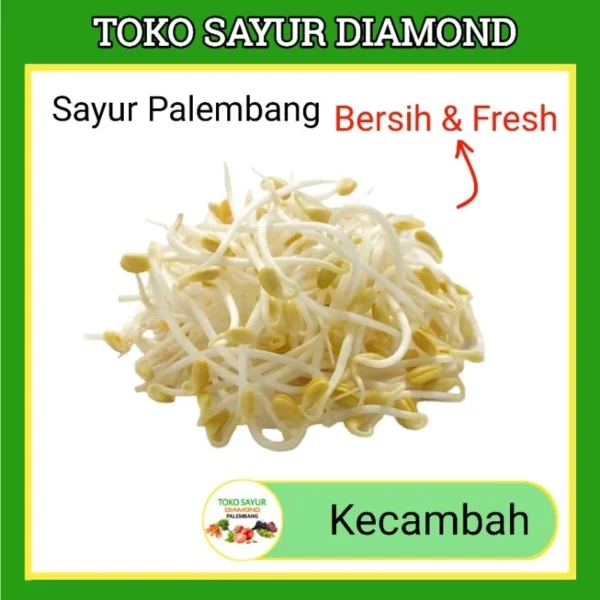 Kecambah Toge Tauge - Toko Sayur Diamond Sayuran Mayur Online Segar Palembang