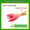 Kecombrang Fresh Palembang