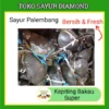 Kepiting Bakau Fresh - Diamond Palembang