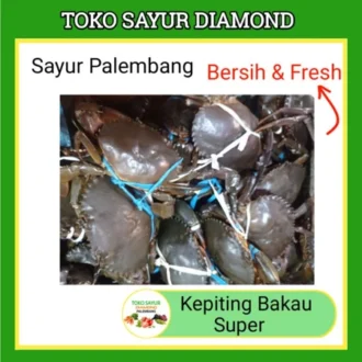 Kepiting Bakau Fresh - Diamond Palembang (salin) (salin)