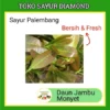 Lalapan Jambu Monyet Per Ikat - Sayur Sayuran Segar Palembang