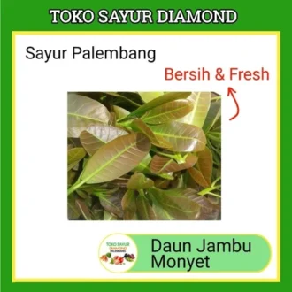 Lalapan Jambu Monyet Per Ikat
