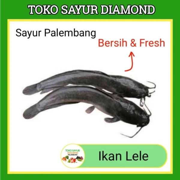 Ikan Lele Fresh - Diamond Palembang