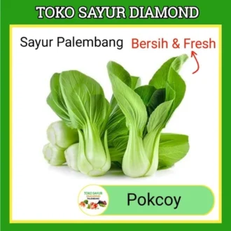 Pokcoy pakcoy Pocoy Pokcoi Pakcoi