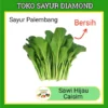 Sawi Hijau Caisim - Palembang