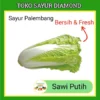 Sawi Putih - Sayur Sayuran Segar Fresh Online Palembang