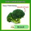 Sayur Brokoli (salin)