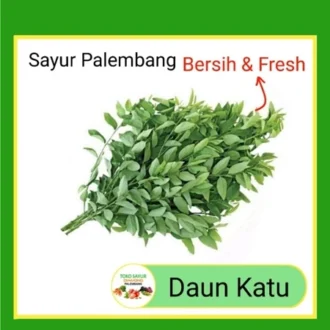Sayur Daun Katuk Katu Per Ikat - Sayur Segar Palembang (salin) (salin)