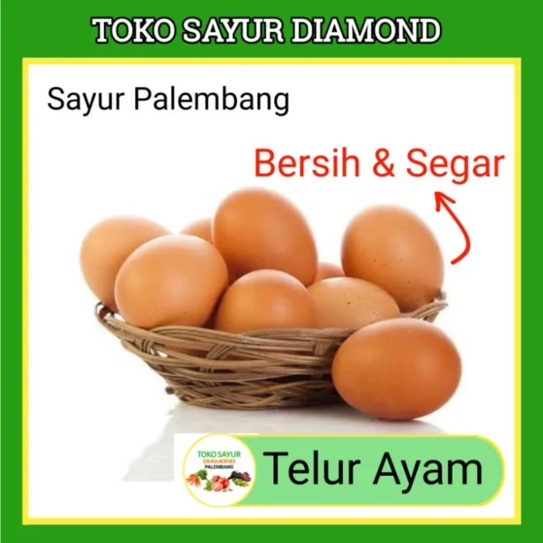 Telur Ayam Negeri Telor - Diamond Palembang