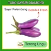 Terong Ungu - Toko Sayur Sayuran Mayur Online Segar Palembang (salin) (salin)
