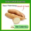Ubi Celembu Madu - Toko Sayur Segar Diamond (salin)