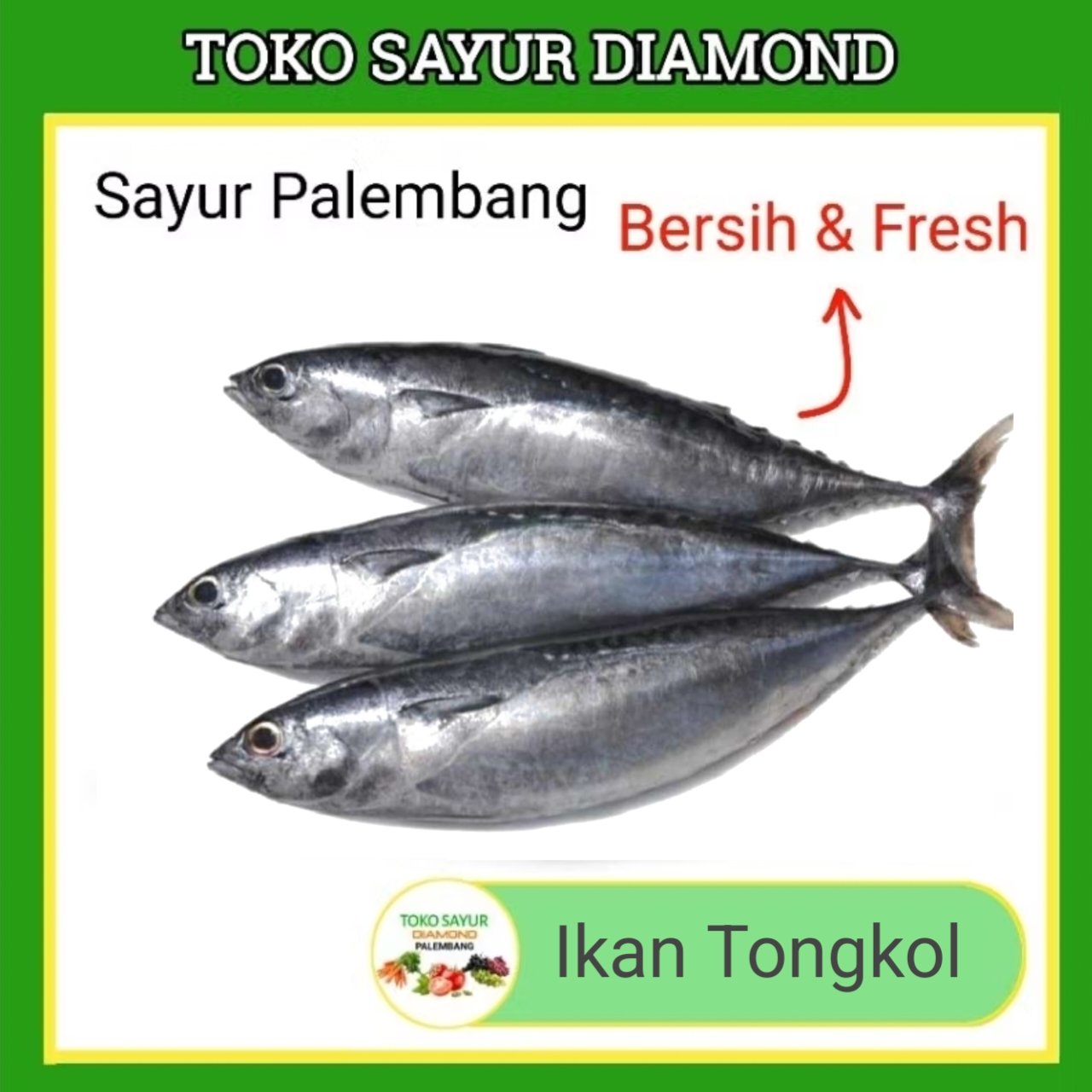 Ikan Tongkol Fresh
