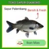Ikan Mas