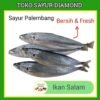 Ikan Salam Salem
