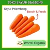 Wortel Organik Sayur Segar Palembang