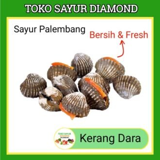 Kerang Dara
