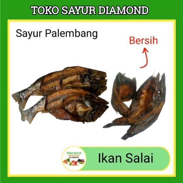 Ikan Salai Salay Sale Lele/Patin - Palembang