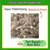 Teri Basah - Ikan Beles - Bilis