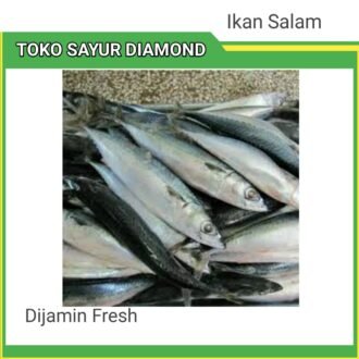 Ikan Salam Fresh - Toko Sayur Diamond Palembang