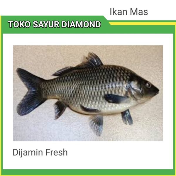 Ikan Mas Fresh - Diamond Palembang
