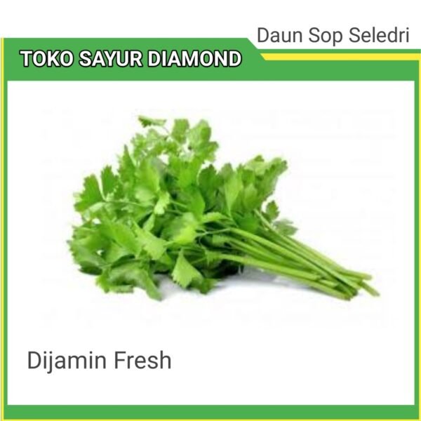 Daun Sop Seledri - Sayur Palembang