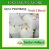 Santan Kelapa- Palembang