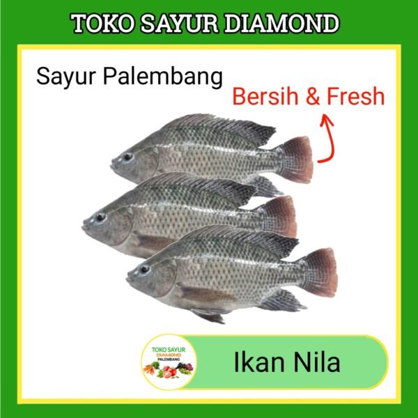Ikan Nila Fresh - Palembang