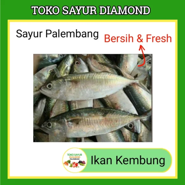 Ikan Kembung Fresh Palembang